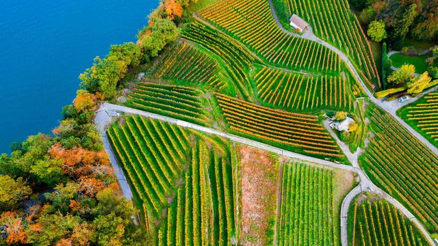 A luscious lakeshore - © Anton Petrus / Moment / Getty Images