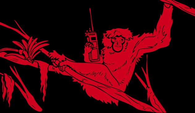 A monkey holding a communication radio hands from branches of a tree.