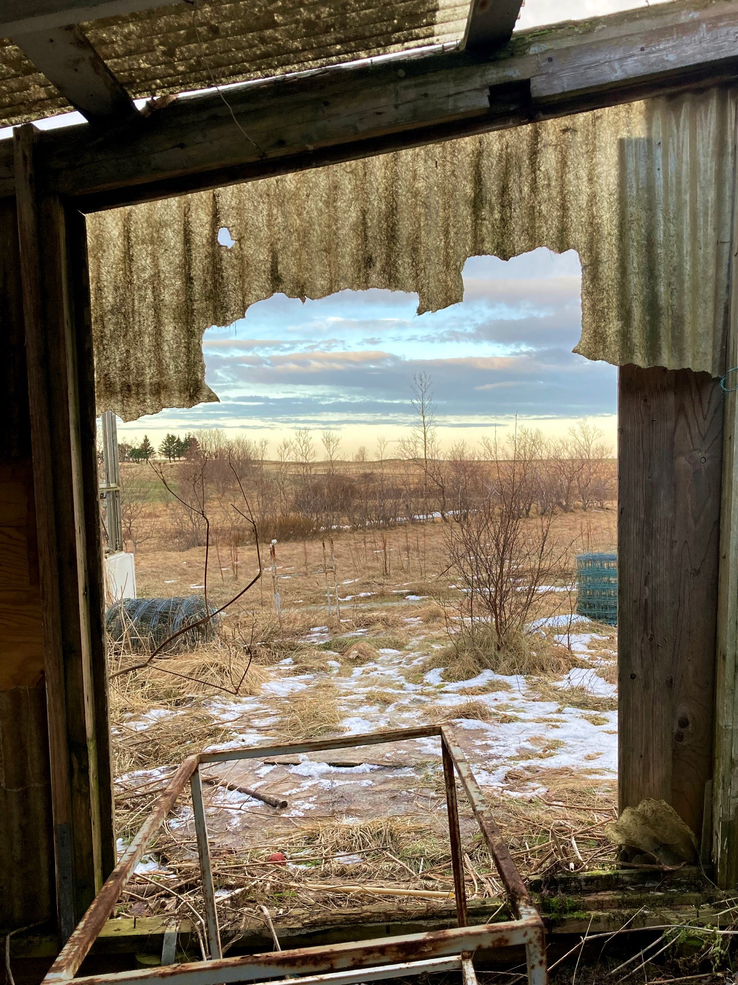A look outside a doorway of an abandoned building.