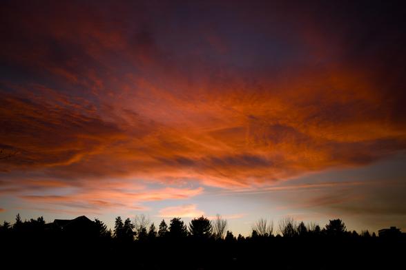 Vibrant sunset sky with orange and pink and gold and turquoise set against a black tree line with conifers, leafless deciduous branches, and a roof line with holiday lights.