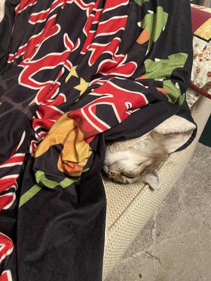 A fluffy tabby, cat eyes under a fuzzy blanket. Only his head is sticking out, his sort of facing us with his chin upside down.