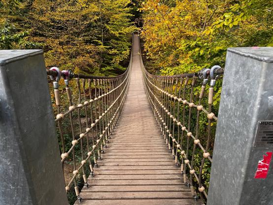Eine Hängebrücke aus Holz und Seil erstreckt sich in einen Wald mit herbstfarbenen Bäumen. Die Szene fängt das Deck und das Geländer der Brücke ein, flankiert von Grün und gelben Blättern im Hintergrund.