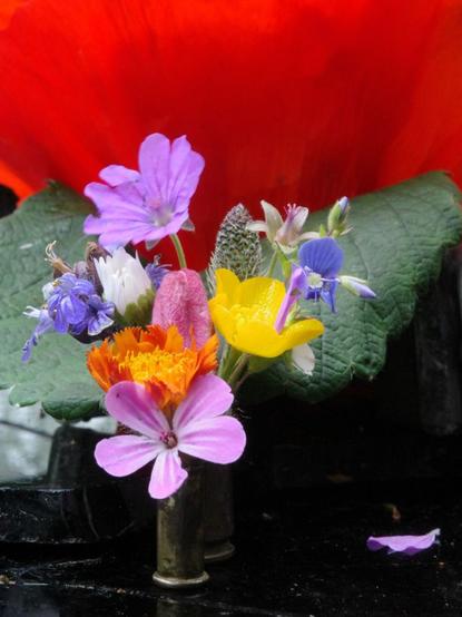Individual blossoms in rainbow colours, excluding red and green, including a daisy, orange-red hawkweed, cranesbill, speedwell, and creeping bugle, were arranged in two bullet casings, one 5.6 mm and one 9 mm, and placed on a black shard of glass between an old rim brake. The background is formed by a huge, deep red poppy leaf and two equally large, dark green strawberry leaves.