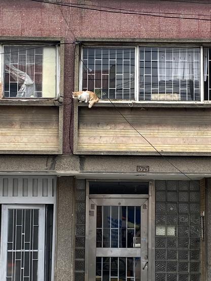 Fachada de un edificio de apartamentos, con piedra de varios colores (amarilla y amarilla con vetas rojas), baldosas pequeñas color vino tinto y unas ventanas con rejas blancas. El primer piso tiene una puerta y celosía metálicas blancas y la puerta principal del edificio es de metal gris y está entre ladrillos de vidrio.
En la ventana del segundo piso, sobre el alféizar de una ventana, hay un gato blanco y naranja sentado, mira hacia la izquierda.