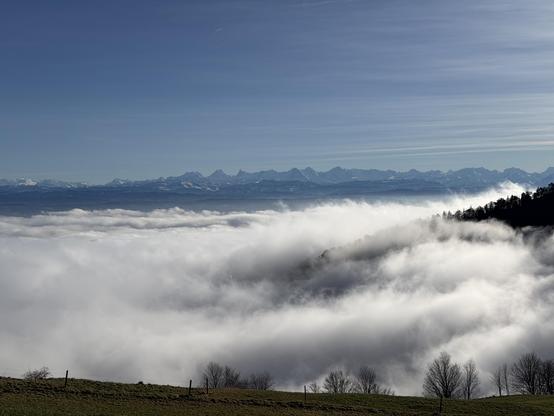 Oben blauer Himmel, dann eine Alpenkette, darunter ein Nebelmeer, rechts sieht man etwas von einem Wald, unten eine Wiese
Above, blue sky, then a mountain range, below it a sea of fog, to the right you can see part of a forest, below a meadow.