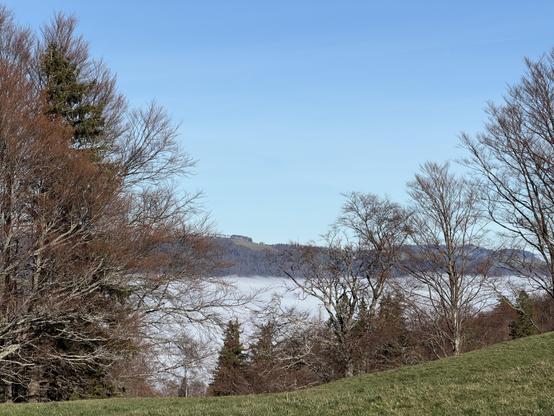 Oben blauer Himmel, dann Berge mit Wald, im Vordergrund laublose Bäume und Tannen und eine Wiese
Blue sky above, then mountains with forest, in the foreground leafless trees and fir trees and a meadow