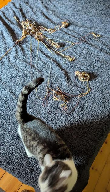 Ruthie, a petite white and grey tabby shorthair cat, stands on a bed in front of her masterpiece: a tangle of sock yarn, still attached to a sock project with just the cuff complete