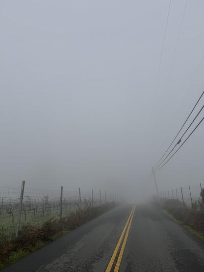 thick fog makes the road ahead a mystery — the telephone lines, the road surface, the fields running alongside, all vanishes into the cloud ahead