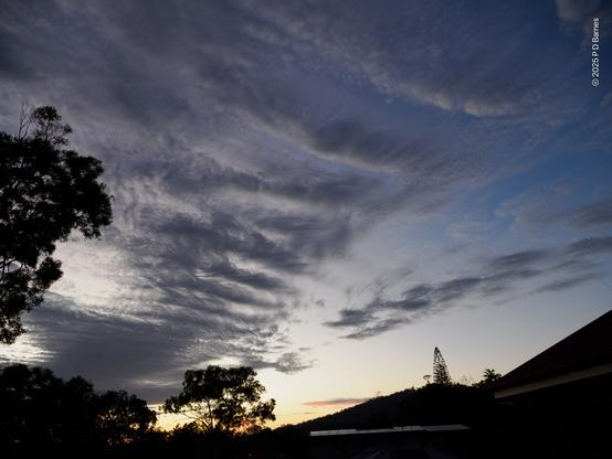 Patterned dove-grey clouds fill most of the sky, above the silhouettes of nearby trees and a lone pine tree on a hill. The first orange of dawn is just visible on the horizon.