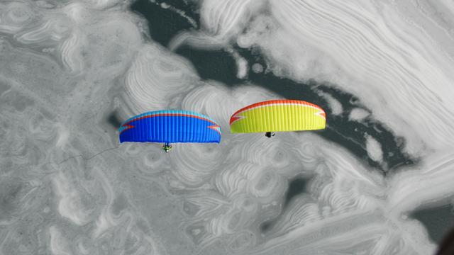 Gliding over all - © P. Medicus / Moment / Getty Images