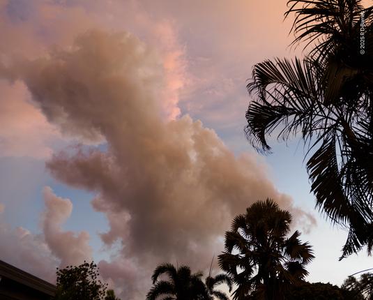 Low tropical cloud lit by a diffuse sunrise, drifting over palm trees