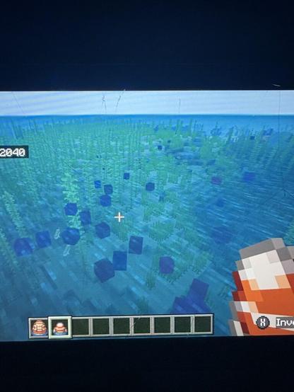 New secret addition to mounts of mayhem, tropical fish are now tropical floating cubes