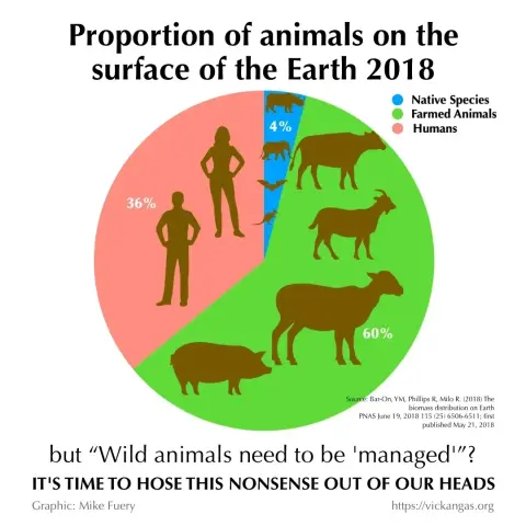 This infographic from Mike Fuery captures the influential article, ‘The biomass distribution on Earth’ (Bar-On, Phillips & Miki, 2018), which concluded that wild mammals comprise just 4% (blue) of the world’s mammalian biomass. The other 96% is humans (red 36%) and farmed animals (green 60%).