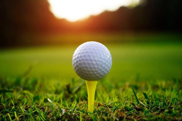 2025 Journal-World All-Area Girls Golf Team | News, Sports, Jobs