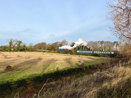 A landscape shot looking out across a field with round hay bales with a bright blue steam loco pulling a burgundy brake van and a rake of cream and blue vintage coaches behind the bales in front of a line of large bare trees under a blue sky. The loco is trailing a cloud of clean white steam over the carriages.