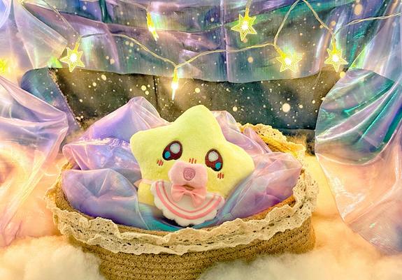 Photo of Baby Star Plush 1