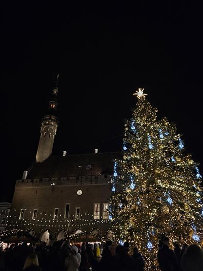 Pimeällä otettu kuva jossa vasemmalla näkyy Tallinnan raatihuone jonka edessä on myynntikojuja joiden yli viritelty valoketjuja. Kuvan oikeassa laidassa kohoaa iso koristeltu ja valaistu joulukuusi
