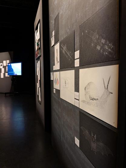 A black exhibition wall with my paper drawings attached to it, slightly at an angle so in the background other walls with art and a video screen is visible. you can see the snail, catphone, pridemoth, bat, and 2 technical drawings, as well as calico and elphi in the far end.
