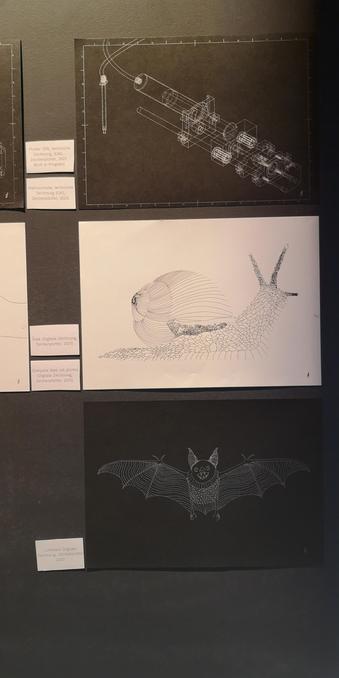 second half of my art. on top is a technical drawing of my pen plotter pen building project in silver on black paper, beneath is the snail on white paper and below the cute bat in silver on black paper. every picture has a small card with the name on the side