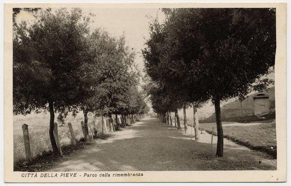 The image depicts a monochrome vintage photograph of a tree-lined pathway. The trees are densely packed on both sides, forming a natural archway over the path that extends into the distance. There is little to no visible sky through this foliage curtain. At each end of the pathway, there appear to be small wooden posts or markers, indicating perhaps an entrance and exit point from this wooded area.

The photograph has a title at the bottom in Italian script which translates roughly as "City of Pieve - Remembrance Park." This suggests that the path is part of a memorial park within Città della Pieve. The overall condition of the photo indicates it could be quite old, with some wear and speckling on its surface.

No animals or people are visible in this scene; thus, there's no direct evidence for animal behavior to describe. However, given that the path seems well-maintained but not overly formalized (no clear signs of frequent pedestrian traffic), it could be an area where wildlife might roam undisturbed alongside humans who come here perhaps for reflection or remembrance.

It is important to note that without more context on this specific location and its use over time, any additional information about animals in the park would remain speculative.