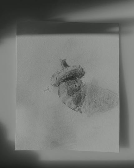 Quick graphite sketch of an acorn casting a shadow on a smooth, light surface.