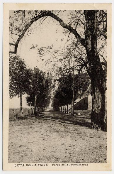 The image depicts a vintage black and white photograph featuring an archway formed by two large, leafless trees that have their branches touching in the center to create an opening over what appears to be a dirt path. The scene is likely captured during late autumn or winter as there are no leaves on most of the surrounding trees either. These additional trees line both sides of the pathway and recede into the distance where they eventually fade out, indicating perspective depth.

Inscription at the bottom left reads "GITTA DELLA PIEVE - Parco della rimembranza," suggesting that this path is located in a park known as 'Parco della Rimembranza' within Città della Pieve. The term "Gitta della Pieve" could refer to specific geographical or cultural landmarks associated with the area.

The photograph's monochrome tone and style are indicative of early 20th-century photography, often used for commemorative purposes in historical contexts. It captures a tranquil scene that invites reflection on past events tied to this park as referenced by its name "Parco della rimembranza," which translates to 'Park of Remembrance.'