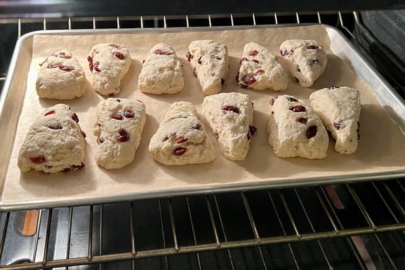 10 scones baking on the cookie sheet lined with parchment paper being baked in the oven.