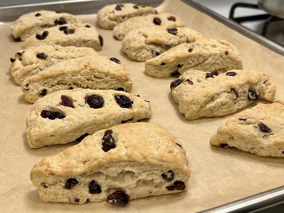 Just baked smallish dozen triangle scones on the cookie sheet lined with a parchment paper on the stovetop, cooling.