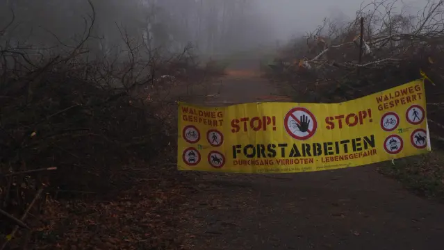 Großes gelbes Banner  quer über den Weg mit der Aufschrift:

"Stop! Forstarbeiten. Lebensgefahr"

Dahinter sind gefällte Bäume und gerodetes Buschwerk zu erkennen