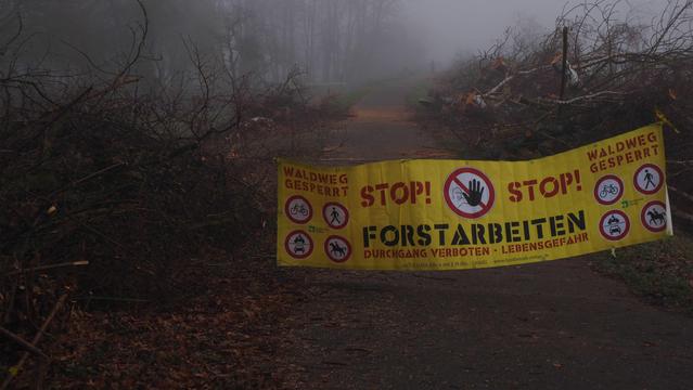 Großes gelbes Banner  quer über den Weg mit der Aufschrift:

"Stop! Forstarbeiten. Lebensgefahr"

Dahinter sind gefällte Bäume und gerodetes Buschwerk zu erkennen