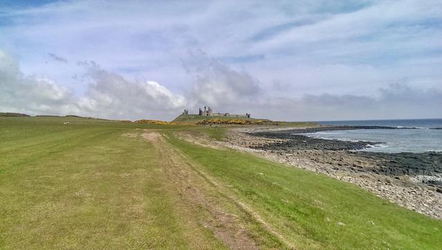 A coastal path stretches across open grassy terrain beside a rocky shoreline, leading towards the ruins of a medieval castle standing on a low hill in the distance. The sky is mostly clear with scattered clouds, and the sea to the right has gentle waves breaking against dark rocks. Sparse yellow gorse bushes dot the landscape near the castle, adding contrast to the green fields. The terrain is mostly flat, with a faint track worn into the grass guiding towards the ruins.