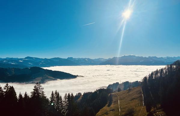 In the foreground, a mountain meadow; behind it, a sea of fog and mountains towering above. Blue sky, sunshine and an aeroplane leaving a short contrail behind it.
