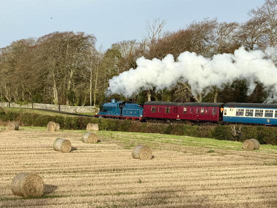 A telephoto view of a blue steam loco with tender pulling a burgundy brake van and a rake of blue and cream vintage coaches, only the first half of the first of which is visible. There is a clean white cloud of steam streaming back from the front of the loco. The edge of a field with round hay bales is visible in the foreground, and a line of big bare trees dominates the background.