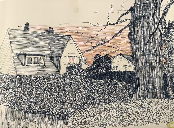 Pen and ink drawing of houses and tree at dusk, monochrome apart from hint of red in sky
