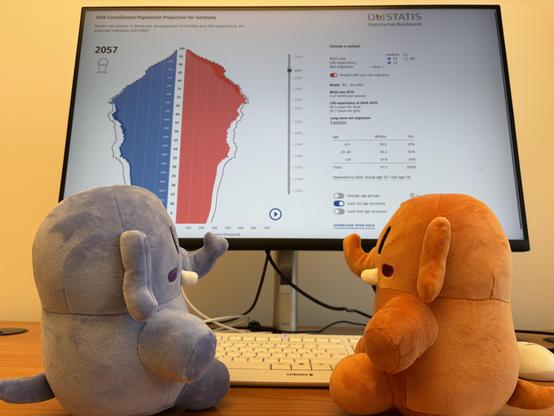 Two new mastodon plushies look at a population pyramid of Germany in 2057 when they themselves may have children. While the outline depicts the default model, the much narrower pyramid is of a hypothetical model calculation with zero net migration.
