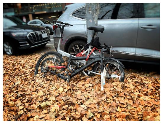 Photo of a bicycle leaning against a lamppost on a city sidewalk, its wheels half-buried in a carpet of fallen brown leaves. On the other side of the lamppost are parked cars and a glimpse of awnings on the far side of the street.