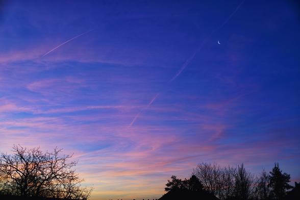 Dunkelblauer Himmel mit Mond, von unten/links zieht rosa-rot der Sonnenaufgang ins Bild, einzelne Wolken und Kondensstreifen beleuchtet 
Am unteren Bildrand Bäume