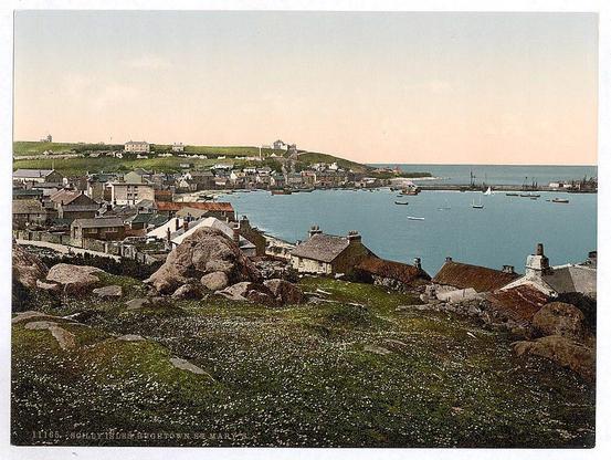 The image depicts a picturesque coastal town, likely situated on a hillside overlooking the sea. The scene is bustling with various buildings that appear to be residential homes and small businesses, indicating a close-knit community. There are several boats in the harbor, suggesting activities related to fishing or trade.

In the foreground, there's an expanse of greenery dotted with white flowers, creating a serene contrast against the stone-built structures nestled among rocky outcrops. The vegetation suggests that this area is not densely populated and retains some natural landscape elements amidst urban development.

The overall composition captures the charm of coastal life in England during the late 19th or early 20th century, with clear skies and tranquil waters inviting a sense of peacefulness to the viewer.