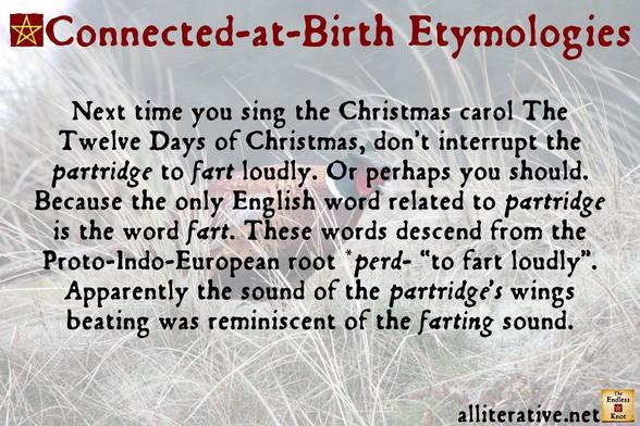 Next time you sing the Christmas carol The Twelve Days of Christmas, don’t interrupt the partridge to fart loudly. Or perhaps you should. Because the only English word related to partridge is the word fart. These words descend from the Proto-Indo-European root *perd- “to fart loudly”. Apparently the sound of the partridge’s wings beating was reminiscent of the farting sound.