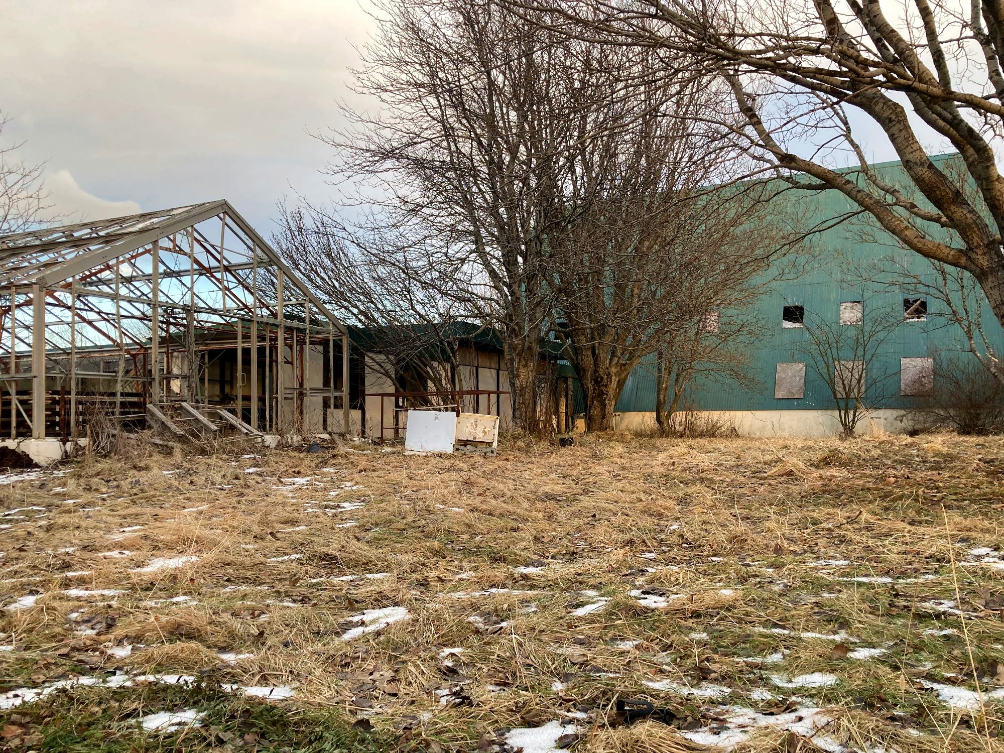 An abandoned building and greenhouse surrounded by trees.