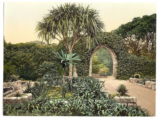 The image depicts a serene and picturesque garden scene with an arched stone gateway as its focal point. The archway is partially covered in lush green foliage, giving it the appearance of being integrated into the surrounding vegetation seamlessly. Flanking the entrance are tall palm trees with long slender leaves that add height to the composition and create a sense of enclosure for what lies beyond.

The garden itself is teeming with various plants, including yucca-like species and other exotic-looking flora. The greenery appears meticulously maintained, suggesting regular care by skilled horticulturists or gardeners. A stone path meanders through the space from which we are viewing it, inviting exploration of what lies further down.

In the background, a hint of an elevated landscape can be seen beyond the foliage and trees, possibly indicating that this location is part of a larger estate with additional grounds to explore. The overall atmosphere conveyed by the image is one of tranquility and natural beauty, evoking the charm of historical gardens in Britain during its peak as a colonial power.

This vintage postcard likely dates back between ca. 1890 and ca. 1900, judging from its style and subject matter. The inclusion of "Scilly Isles" suggests that this garden is situated on one or more islands within the British Virgin Islands known by various names including S [...]