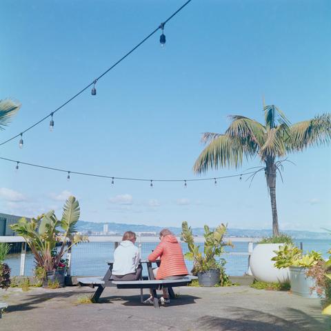 A sunny scene of a couple sitting at a circular picnic bench on a patio by the bay with some lights strung across the frame tied to a palm tree to the right and several potted plants all around hte patio which is framed by a fence beyond which the blue blue and and an equally blue sky stretching to the top. Shot with a Rolleiflex Standard1935 and ZeissTessar75f3.5 lens, on KodakGold200, and developed with BelliniC41 by Shom Bandopadhaya. Licensed under Creative Commons Attribution-NonCommercial-ShareAlike (CC BY-NC-SA).