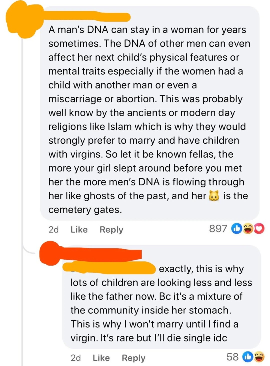A man's DNA can stay in a woman for years sometimes. The DNA of other men can even affect her next child's physical features or mental traits especially if the women had a child with another man or even a miscarriage or abortion. This was probably well know by the ancients or modern day religions like Islam which is why they would strongly prefer to marry and have children with virgins. So let it be known fellas, the more your girl slept around before you met her the more men’'s DNA is flowing through her like ghosts of the past, and her L is the cemetery gates.