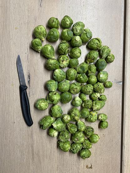 Rosenkohlröschen direkt nach der Ernte aus dem Garten. Auf einem Holztisch ausgelegt mit einem Kneipchen (kleines Küchenmesser) als Größenvergleich daneben.