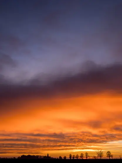 Hochformat. Ein Sonnenuntergang, schrÀg gestreift von oben nach unten in graublau, orange, gelb - ganz unten ein winziger Streifen Silhouetten: BÀume, StrÀucher, Horizont.