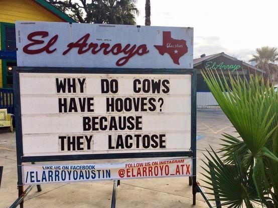 A photograph of the marquee sign for El Arroyo, a restaurant in Austin, Texas.
The sign is set in front of the restaurant building. The top part of the sign has the name "El Arroyo" in red script, with a small Texas outline graphic that says "Austin" next to it.
The main part of the marquee sign features a joke in large, black, block letters against a white background:
WHY DO COWS
HAVE HOOVES?
BECAUSE
THEY LACTOSE
Below the main sign, a white banner with blue text displays the social media information: "LIKE US ON FACEBOOK /ELARROYOATX" and "FOLLOW US ON INSTAGRAM @ELARROYO_ATX".
The background includes a yellow and green building to the left, another part of the restaurant complex in the distance to the right, and a large, spiky palm frond partially obscuring the right side of the image. The sky is overcast.