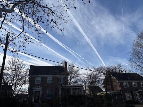 A picture of two houses with a blue sky above crossed by at least 10 condensation trails left by aircraft