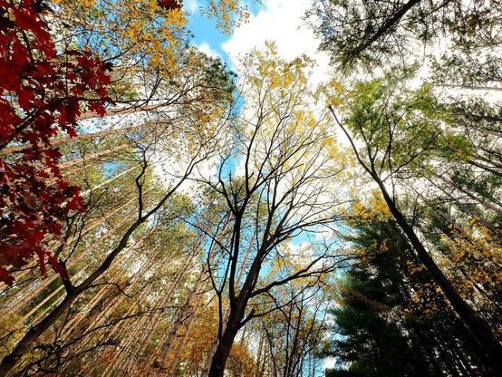 One of a series of photos showing autumn scenes in the upper Midwest of the United States, with colorful forests and calm reflective lakes, under partly cloudy skies.