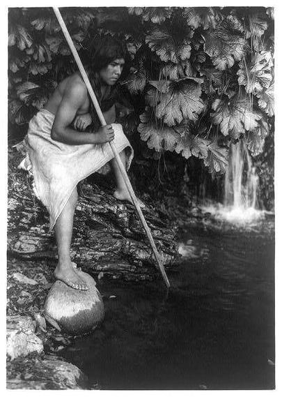 The image shows a young person, possibly of Native American descent, crouching on one foot atop a large coiled basket or container placed over calm water. The individual is holding onto a long pole and appears to be interacting with the surrounding environment. Dense foliage can be seen in the background along with what seems like a waterfall cascading down rocks into the same body of water where the person stands.
This black-and-white photograph captures an intimate moment, likely depicting daily life or traditional practices from around 1923 based on its context provided by "Spearing salmon c1923." The visual storytelling reflects Edward S. Curtis' interest in documenting Native American culture and traditions during that era through his work as a photographer.
In this particular image, the person's focused expression suggests concentration or engagement with their task or environment. The monochrome palette enhances the timeless quality of the scene while emphasizing textures like the coiled basket, water surface, and foliage leaves.