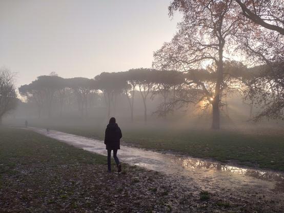 公園内の非舗装の遊歩道。人が歩いている。遠くの木々の枝の陰から朝日の光が差し込んでいる。濡れた歩道の水溜りに木の枝と空がわずかに映り込んでいる。